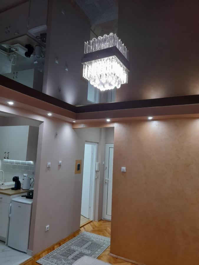 Iva Lux Apartman Zaječar Exterior foto